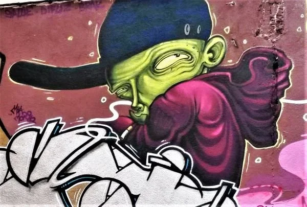 Fresque de Gamo et Asha au Panier, 2014